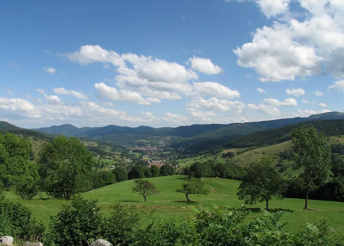 Restaurant & Verte Vallee Hotel 4*